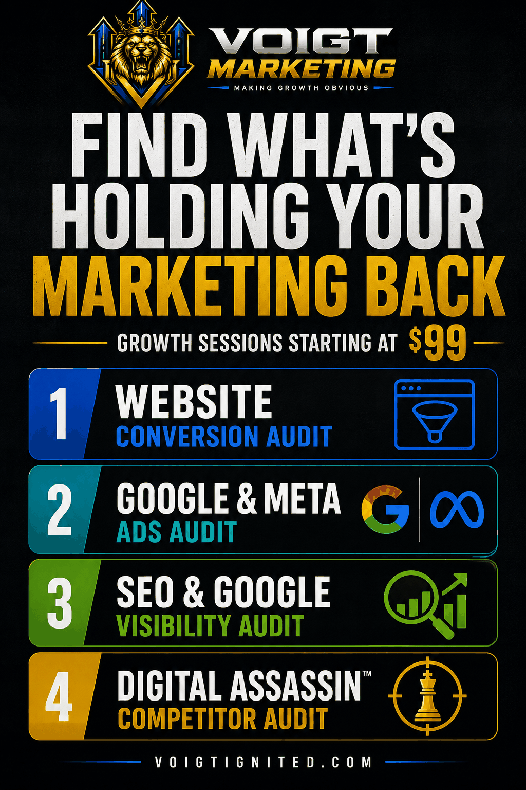Professional marketing audit service with options for website, ads, SEO, and competitor analysis